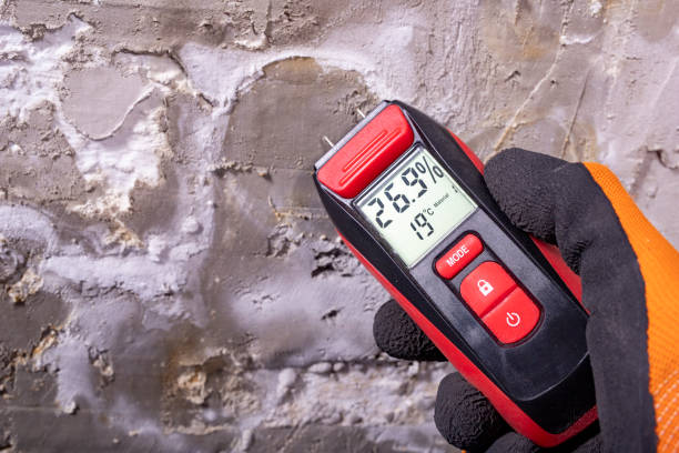 Brightwaters, NY Mold Remediation Company