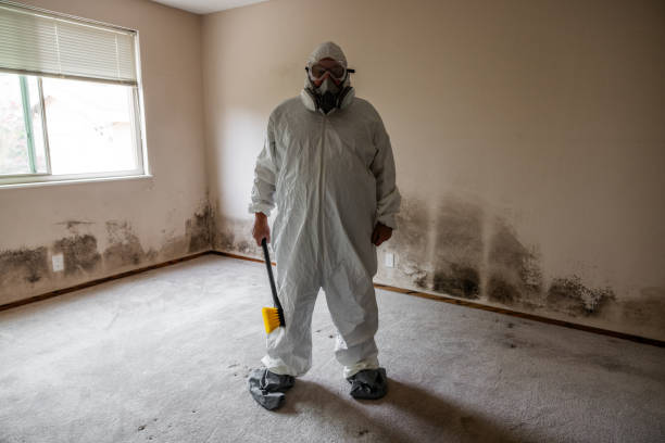 Best Mold Testing and Inspection Services in Brightwaters, NY